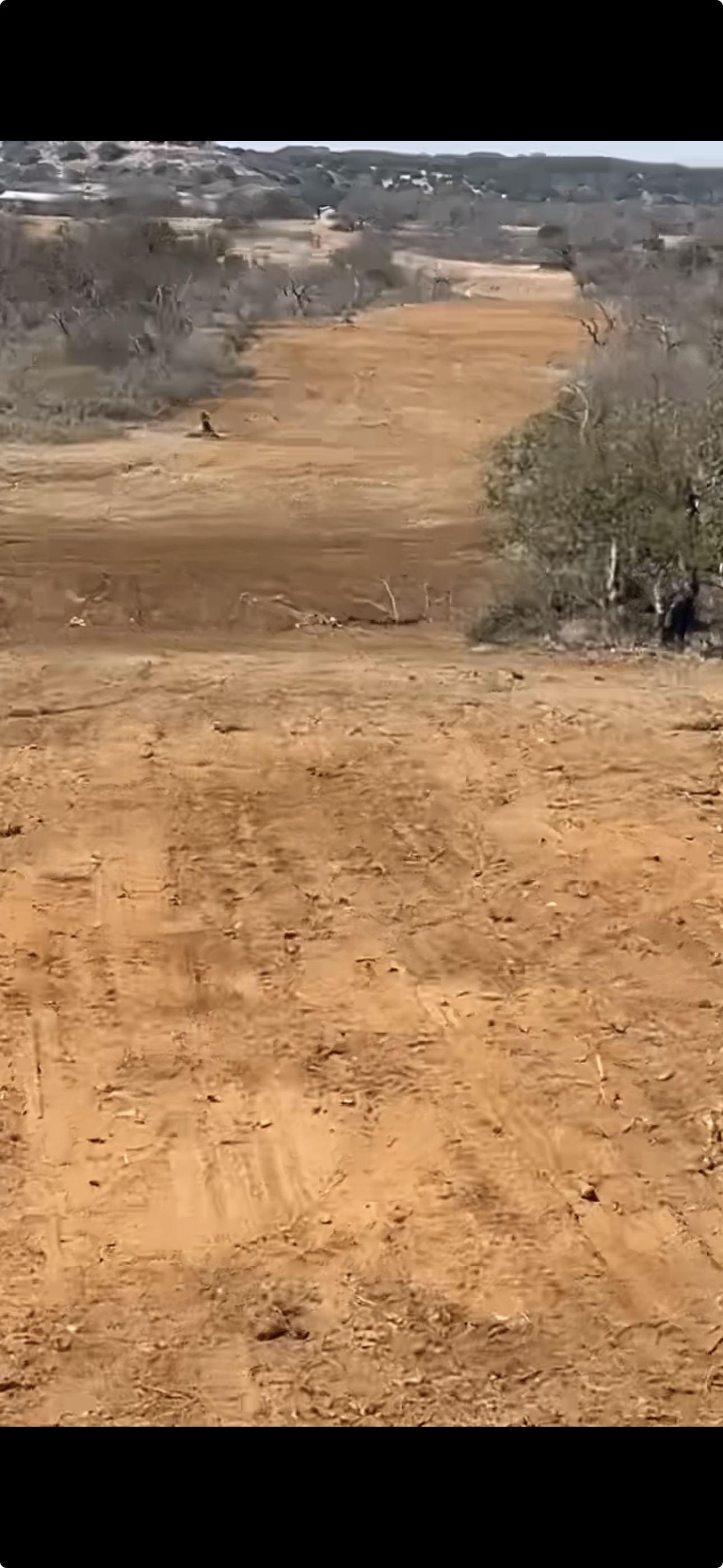 Cleared fence line stretching across Texas hill country
