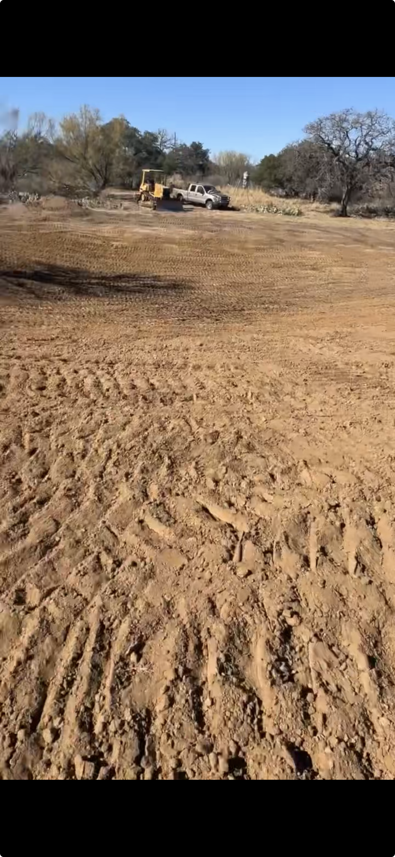 CAT bulldozer grading cleared land with Texas oaks in background